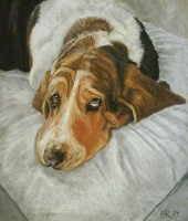 /album/tierisches/mr-bob-jpg/